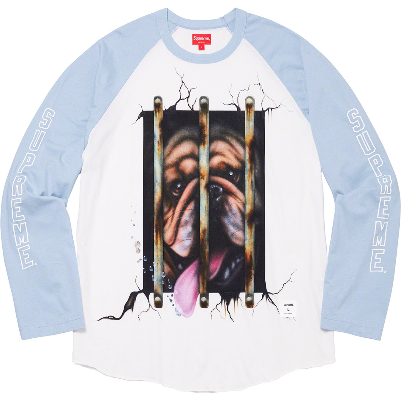 Dog Raglan L/S Top view 4